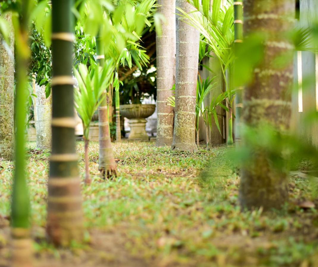 Chiang Mai Heritage House מראה חיצוני תמונה